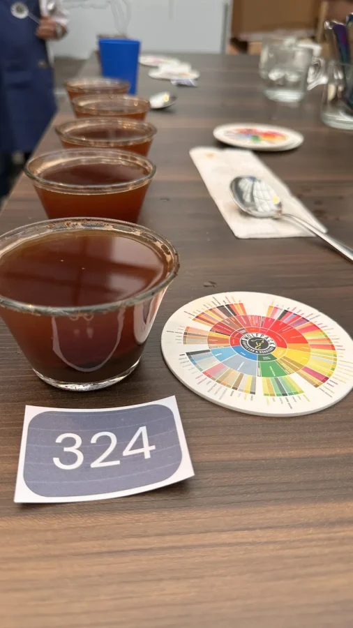 Detalle de granos de café durante una sesión de análisis