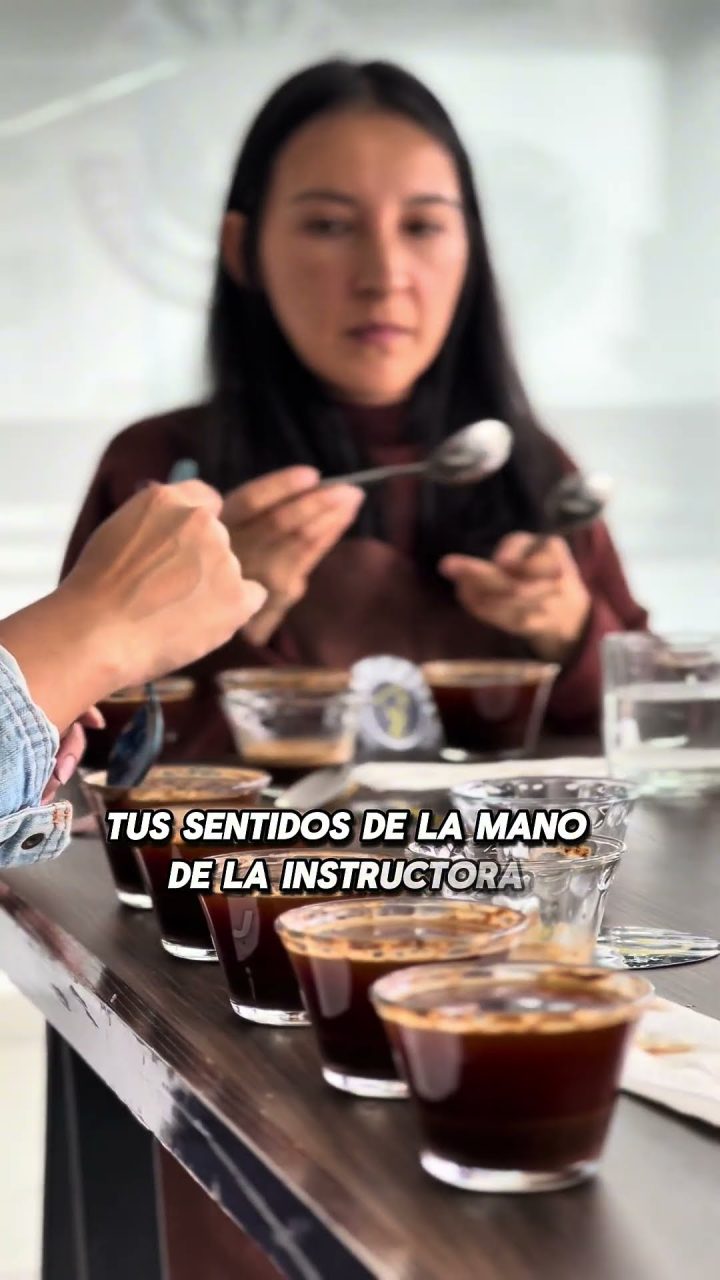 Video de la vida en el aula de la Academia Wolfpack