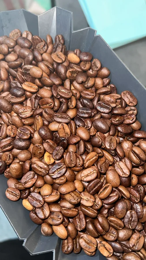 Primer plano de granos de café recién tostados en la bandeja de descarga