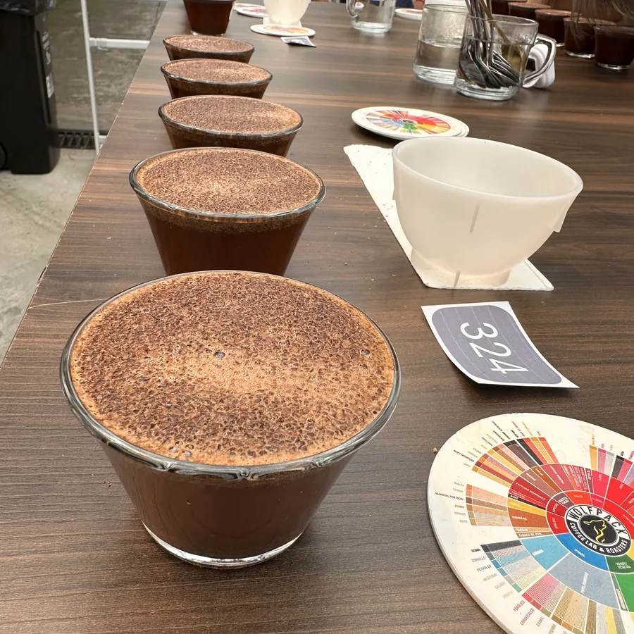 Fila de tazas de catación con espuma de café en primer plano